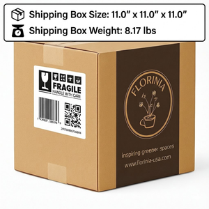 3-Piece White Stoneware Planter Pot Set with Embossed Texture