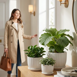 3-Piece White Ceramic Planter Pot Set with Vertical Fluted Design & Matching Saucers