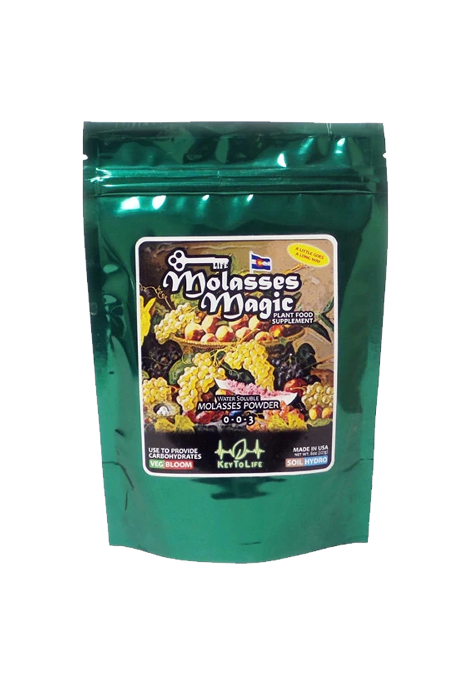 Molasses Magic