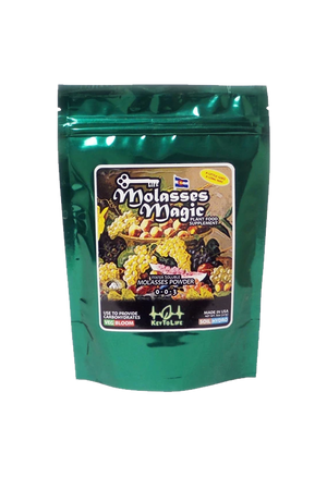 Molasses Magic