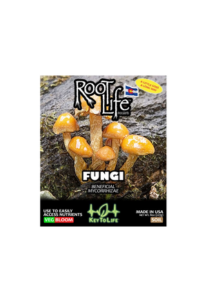 Root Life Fungi