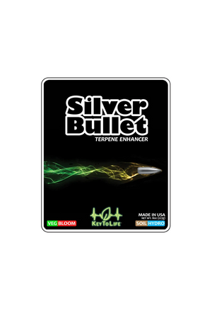 Silver Bullet